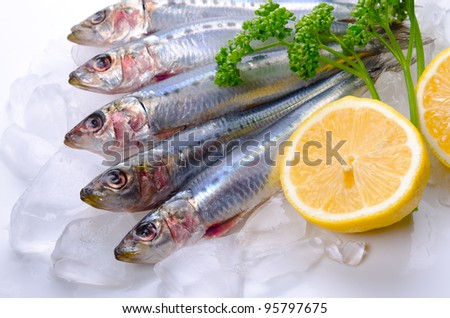Cooking ingredient series    sardine. for adv etc. of restaurant,grocery,and others.