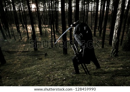 assassin in the deep forest