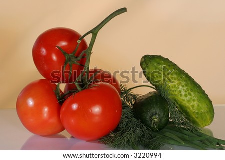 Tomato vine, cucumbers, lettuce and fennel