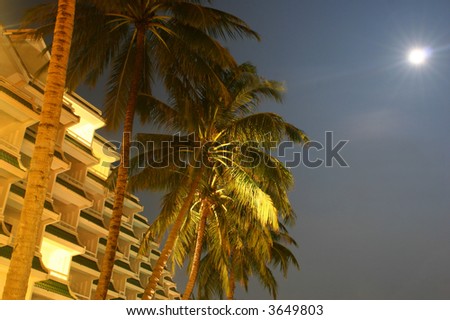 Three palm trees under the moon in Thailand