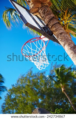 Basketball board ring on summer day on blue sky and green tree palm background