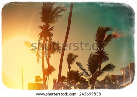 Photo in retro style on beach and palms behind blue summer dark sunset