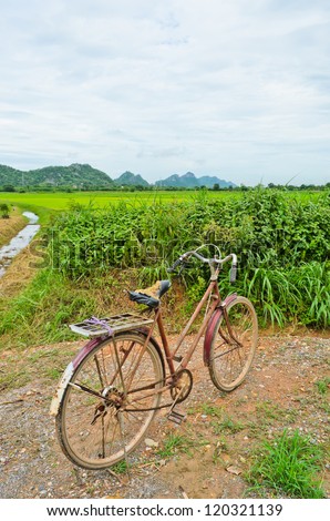 Old bicycle at rice field