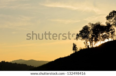 Colourful sky with forest silhouette at sunset