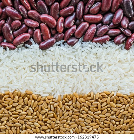 Food grains background. Mixed grains of red kidney bean, white jasmin rice and wheat grain.