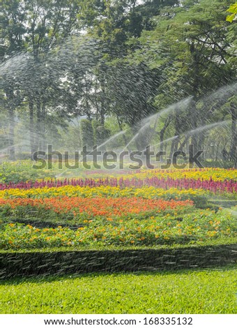 Sprinkler watering the flower bed in the park