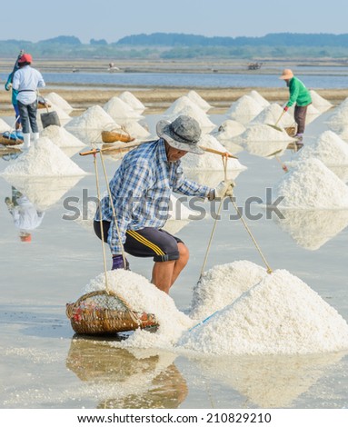 Sea salt harvesting in Thailand