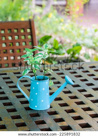 Green plant in watering can on wooden table