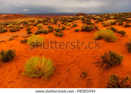 orange desert sand after thunderstorm