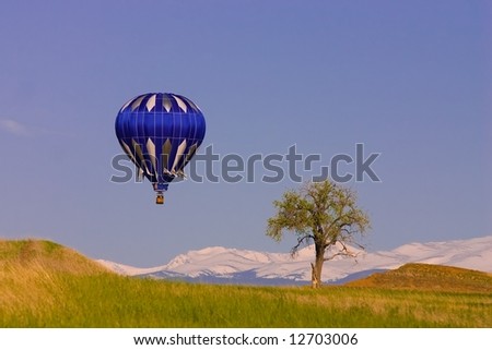A blue Hot Air Balloon floats past a tree with snowy mountains in the distance