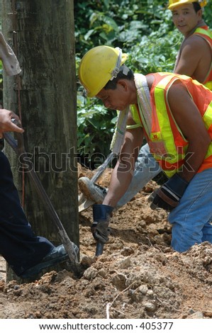 Utility Workers for the power or electric company