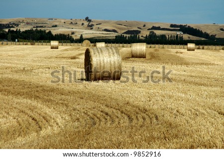 Large bales of hay in rural New Zealand