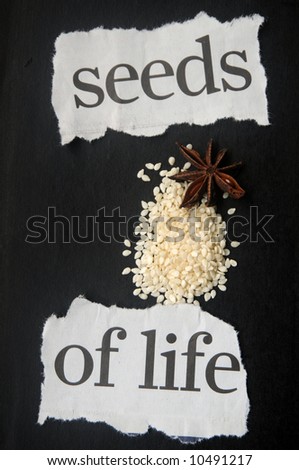 Seeds of life written with actual seeds
