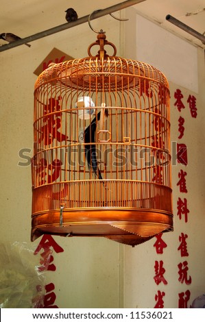 A Chinese bamboo bird cage against a wall with Chinese characters