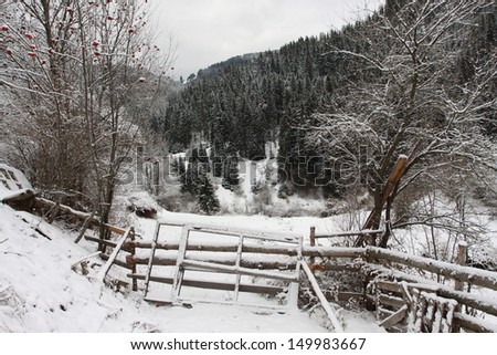 Winter landscape from Rodopi Mountains, Bulgaria