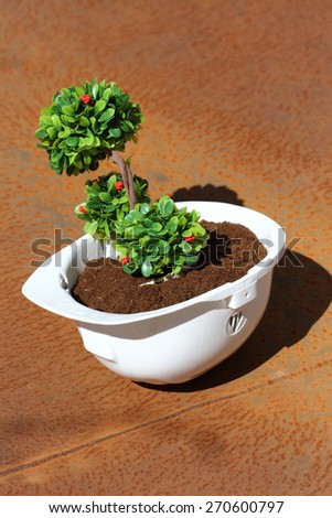 Green plant in white helmet on rusty background - environmental friendly industry concept