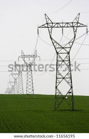 A distribution line on green field