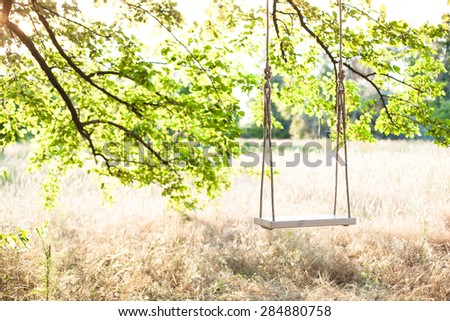 Swing on ropes under the big tree