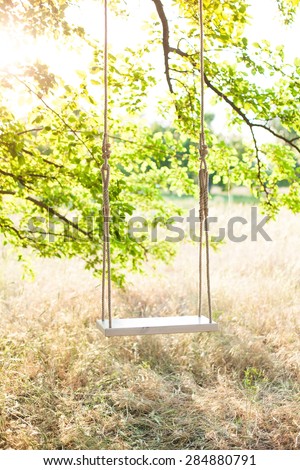 Swing on ropes under the big tree