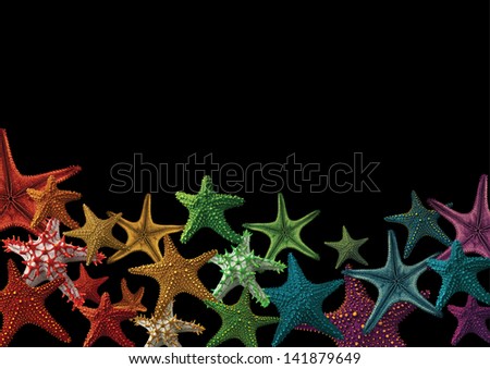 Full spectrum of starfish isolated on a Black background in a half page layout