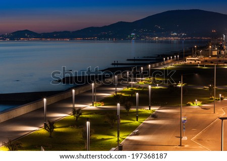 Night city Adler on the Black sea , in the background-lights Sochi