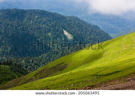 SKI RESORT ROSA KHUTOR IN THE SUMMER . MOUNTAINS OF THE NORTH CAUCASUS OVERGROWN FORESTS AND WRAPPED UP THE CLOUDS
