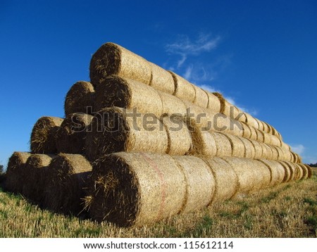 Hay packed into big rolls and arranged into pile
