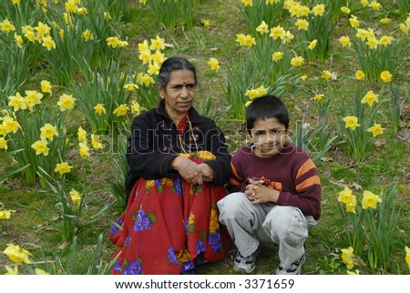 An Indian Kid with Grand mother in a field of daffoldils