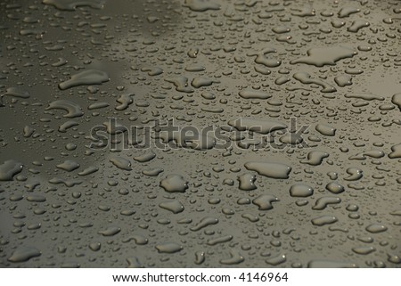 Rain drops on the top of a car hood after a rain