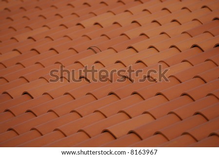 closeup shot of patterns in a  roof top