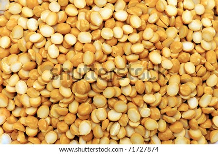 Channa dal, famous Indian legume also called yellow Pigeon peas