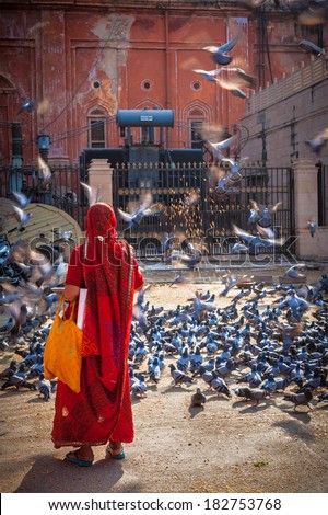 JAIPUR, INDIA - NOVEMBER 18, 2012: Indian woman in sari feeding pigeons in street. Hindus and Sikhs feed pigeons for religious reason