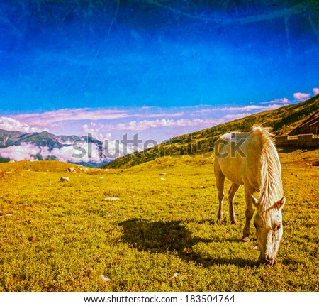 Vintage retro hipster style travel image of serene landscape background - horse grazing on alpine meadow in Himalayas mountains. Himachal Pradesh, India