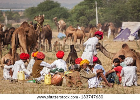 PUSHKAR, INDIA - NOVEMBER 20, 2012: Indian men and camels at Pushkar camel fair (Pushkar Mela) -  annual five-day camel and livestock fair, one of the world largest camel fairs and tourist attraction