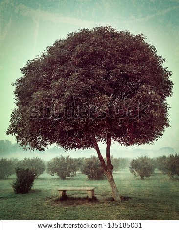 Vintage retro hipster style travel image of loneliness solitude  sadness background - lonely tree and seating bench in morning mist fog with grunge texture overlaid
