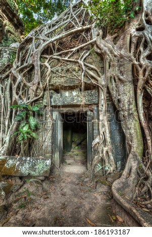 High dynamic range (hdr) image of ancient stone door and tree roots, Ta Prohm temple ruins, Angkor, Cambodia