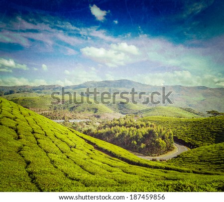 Vintage retro hipster style travel image of Kerala India travel background - green tea plantations in Munnar, Kerala, India - tourist attraction with grunge texture overlaid