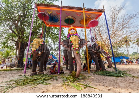 KOCHI, INDIA - FEBRUARY 24, 2013: Decorated elephants with brahmins (priests) in Hindu temple at temple festival. There about 550 domesticated elephants in Kerala state.