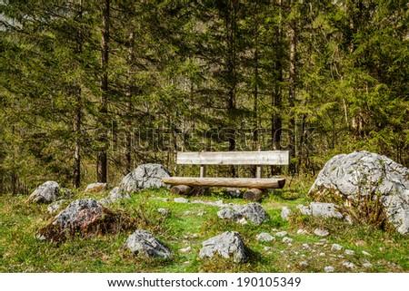 Lonely bench in forest, Germany