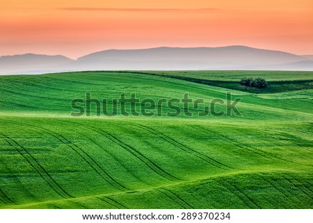 Moravian rolling landscape on sunrise. South Moravia, Czech Republic