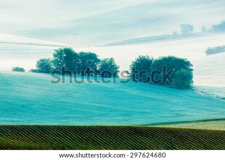 Rolling landscape of green fields in South Moravia, Czech Republic in early morning