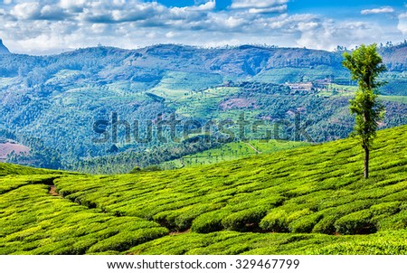 Kerala India travel background - panorama of green tea plantations in Munnar, Kerala, India - tourist attraction