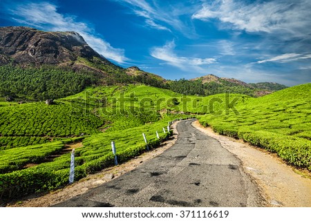 Scenic road in green tea plantations, Munnar, Kerala state, India