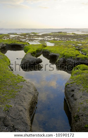 Foot shaped hollow in ocean coast during evening ebb