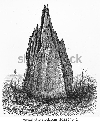 Vintage 19th century old drawing of a Australian natural formation - Picture from Meyers Lexikon book (written in German language) published in 1908 Leipzig - Germany.