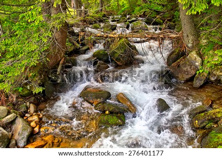 Cascade falls over mossy rocks in forest