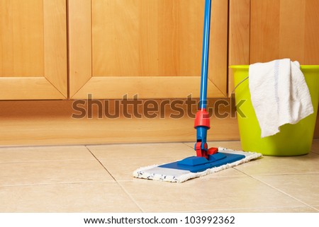House cleaning with the mop
