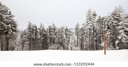 A light pole sits alone as the sole man made object surrounded by fresh snow and evergreens. Snowshoe, WV