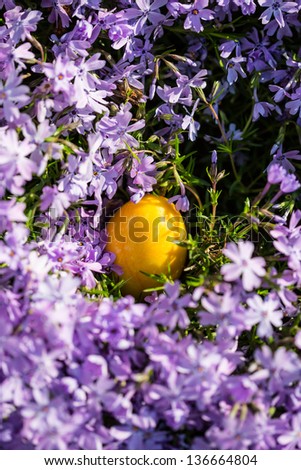 Alabaster Easter eggs hidden in a patch of wild Phlox for the kids to find.