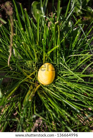 Alabaster Easter Eggs hidden in a patch of grass for the kids to find.